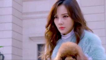 娱乐吃瓜直播讲故事视频,揭秘娱乐吃瓜背后的故事